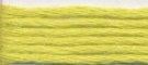 Needlepoint Silk Floss - 653 - Acid Green Range