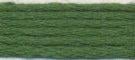 Needlepoint Silk Floss - 429 - Holly Green Range