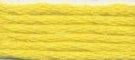 Needlepoint Silk Floss - 552A - Canary Yellow Range