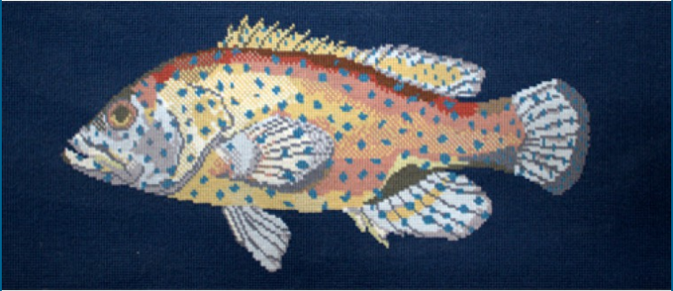 Elizabeth Bradley - Fishes Series - Vermillion Seabass