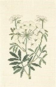 WATER HEMLOCK - Danish Handcraft Guild