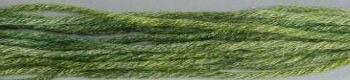 Gloriana 12 ply Stranded Silk 4 yard skeins - #200 Leaf Green
