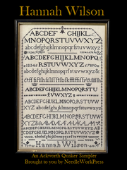 HANNAH WILSON - NeedleWorkPress
