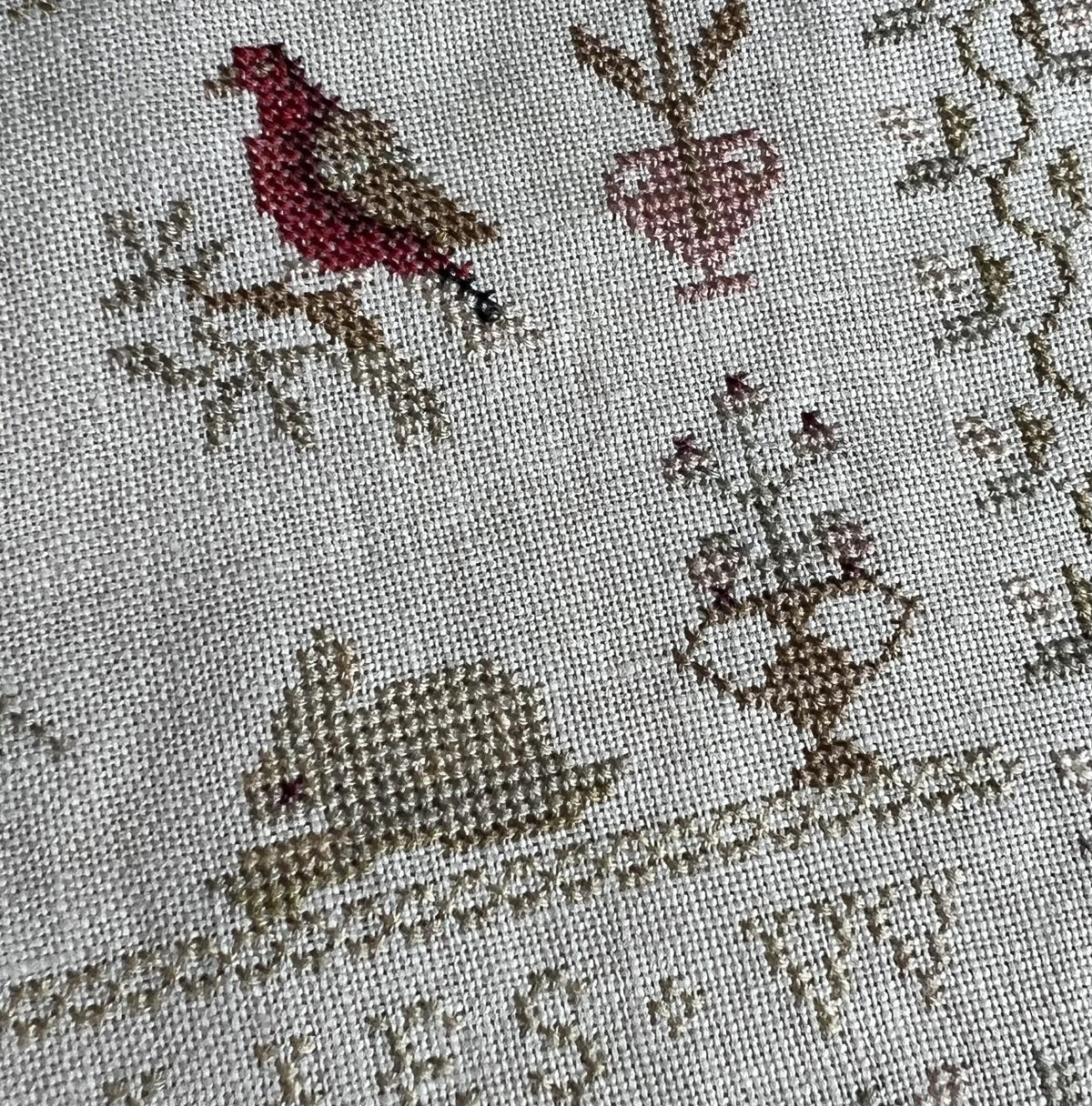 ANGELE DILLIES 1859 - Sovereign Samplers