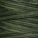 Weeks Dye Works - OverDyed Cotton - Seaweed - 2159