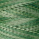 Weeks Dye Works - OverDyed Cotton - Emerald - 2171
