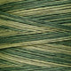 Weeks Dye Works - OverDyed Cotton - Ivy - 2198