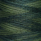 Weeks Dye Works - Perle #5 - Collards - 1277