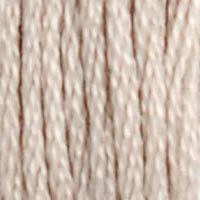 DMC Stranded Cotton - 06