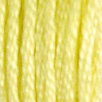 DMC Stranded Cotton - 11