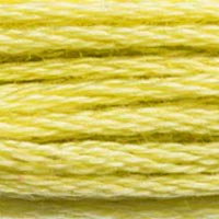 DMC Stranded Cotton - 165