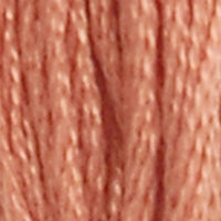 DMC Stranded Cotton - 21