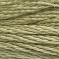 DMC Stranded Cotton - 3013
