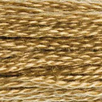 DMC Stranded Cotton - 3045