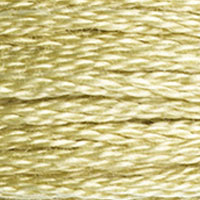 DMC Stranded Cotton - 3046