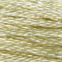 DMC Stranded Cotton - 3047