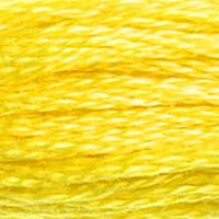 DMC Stranded Cotton - 307