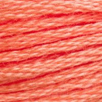 DMC Stranded Cotton - 3340