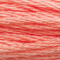 DMC Stranded Cotton - 3341