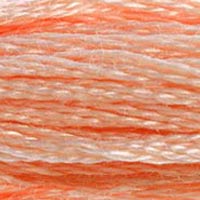 DMC Stranded Cotton - 353