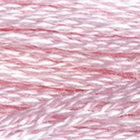 DMC Stranded Cotton - 3689