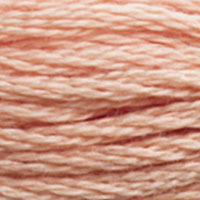 DMC Stranded Cotton - 3771