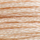 DMC Stranded Cotton - 3774