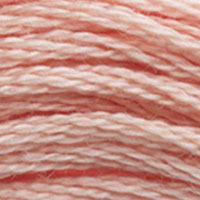 DMC Stranded Cotton - 3779