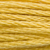 DMC Stranded Cotton - 3821
