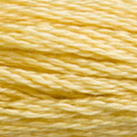 DMC Stranded Cotton - 3822