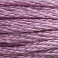 DMC Stranded Cotton - 3836