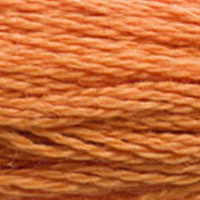 DMC Stranded Cotton - 3853