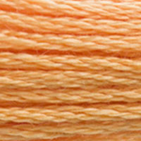 DMC Stranded Cotton - 3854