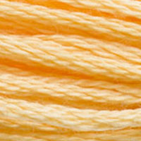 DMC Stranded Cotton - 3855
