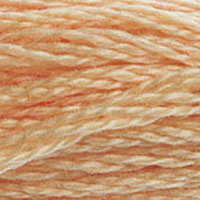 DMC Stranded Cotton - 3856
