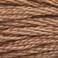 DMC Stranded Cotton - 3863