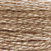 DMC Stranded Cotton - 3864