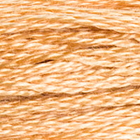 DMC Stranded Cotton - 437