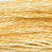 DMC Stranded Cotton - 676
