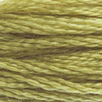 DMC Stranded Cotton - 734