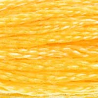 DMC Stranded Cotton - 743
