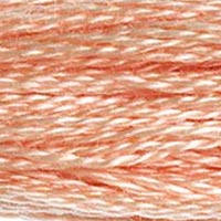 DMC Stranded Cotton - 754