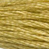 DMC Stranded Cotton - 834