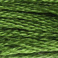 DMC Stranded Cotton - 905