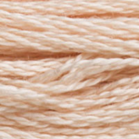 DMC Stranded Cotton - 950