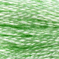 DMC Stranded Cotton - 955