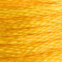 DMC Stranded Cotton - 972