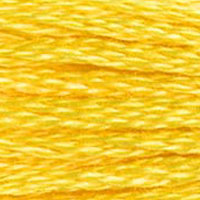 DMC Stranded Cotton - 973