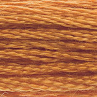 DMC Stranded Cotton - 976