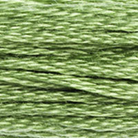 DMC Stranded Cotton - 989